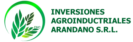 Agroindustrial Arandano